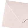 Конверт под визитку (100х70мм) — лилия